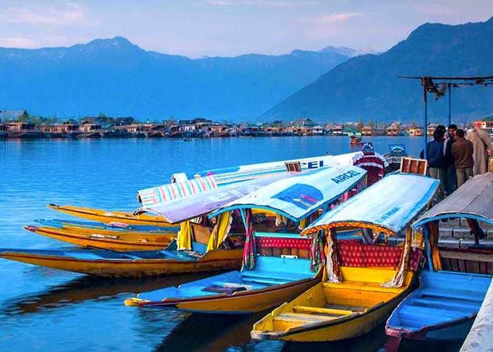 Shikara boats on Dal Lake, Kashmir